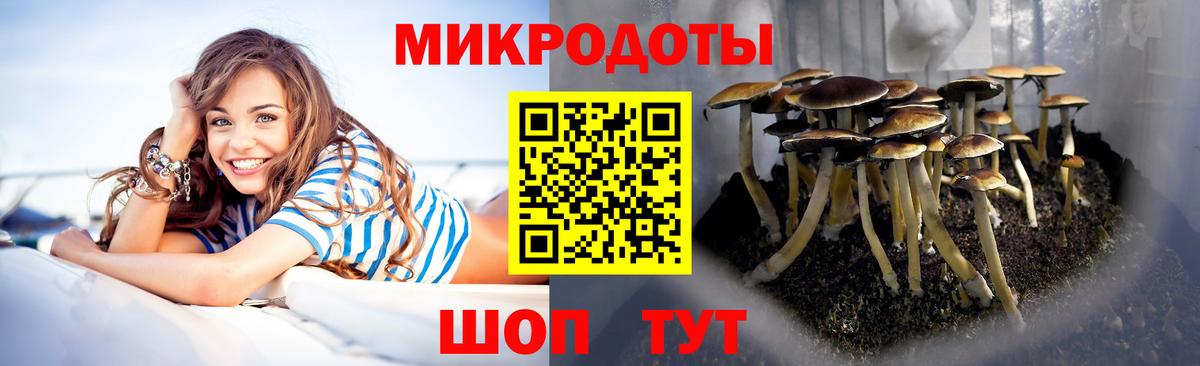 Псилоцибиновые грибы GOLDEN TEACHER Городец